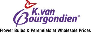 k. van bourgondien|k van bourgondien sale.